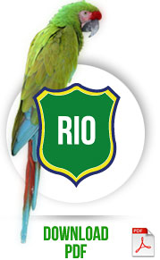Rio
